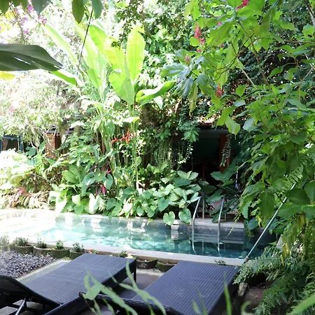 Apartamento Orchid House