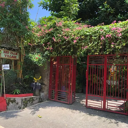 Orchid House Apartment