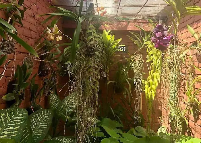 Orchid House アパート *