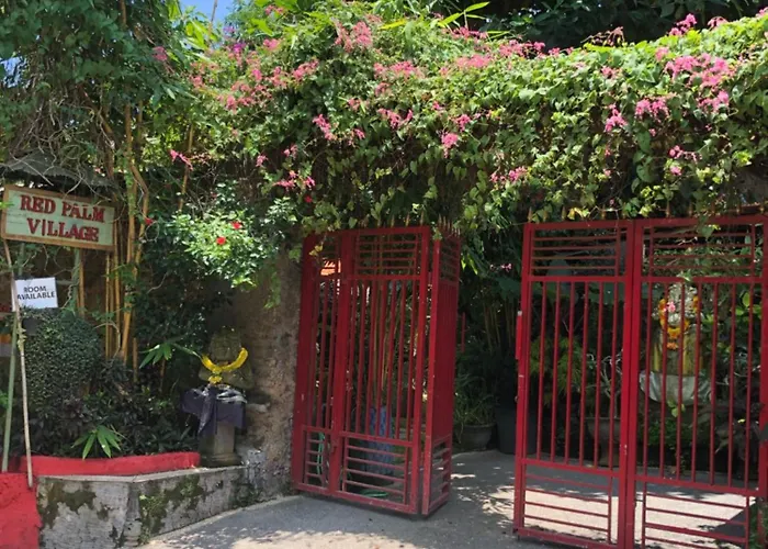 Orchid House
