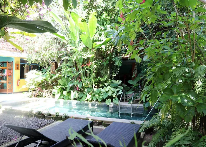 Orchid House